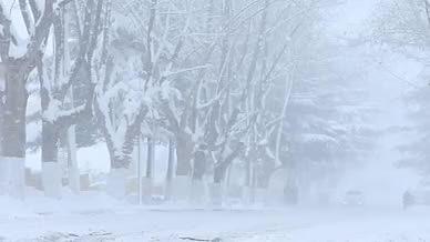 实拍冬日城市大雪视频的预览图